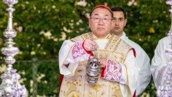 Cardenal Tarcisio Isao Kikuchi, arzobispo de Tokio y secretario general de la Federación de las Conferencias Episcopales de Asia (FABC)