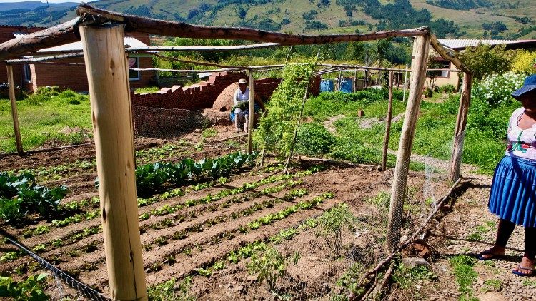 Orto familiare coltivato con nuove tecniche di irrigazione