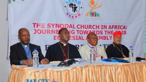 SCEAM: L'&Eacute;glise en Afrique vers l’Assembl&eacute;e eccl&eacute;siale de 2028 depuis Addis-Abeba