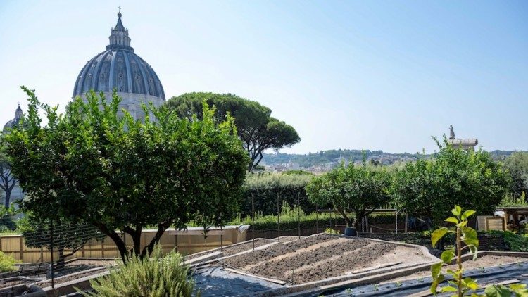 El huerto del Papa en los Jardines Vaticanos 