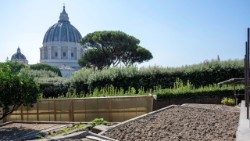 2026.08.18 Orto Giardini Vaticani