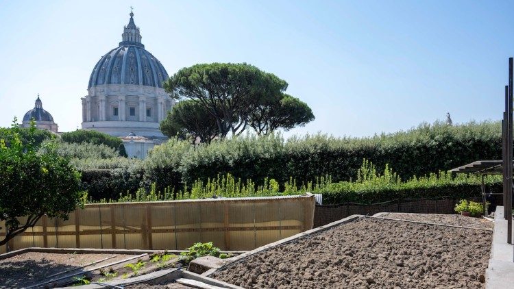 El huerto del Papa en los Jardines Vaticanos 