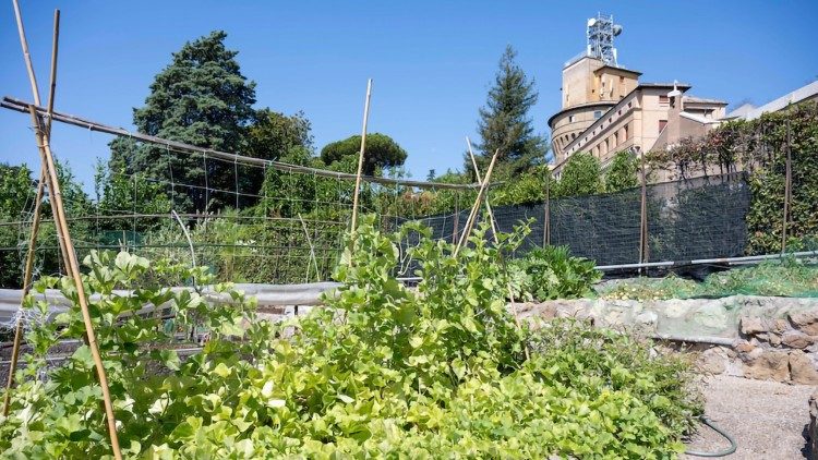 O calend&aacute;rio de cultivo da horta segue os ritmos da sazonalidade