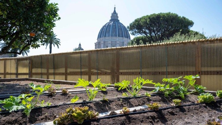 A horta dos Jardins Vaticanos: 400 metros quadrados cultivados segundo critérios orgânicos