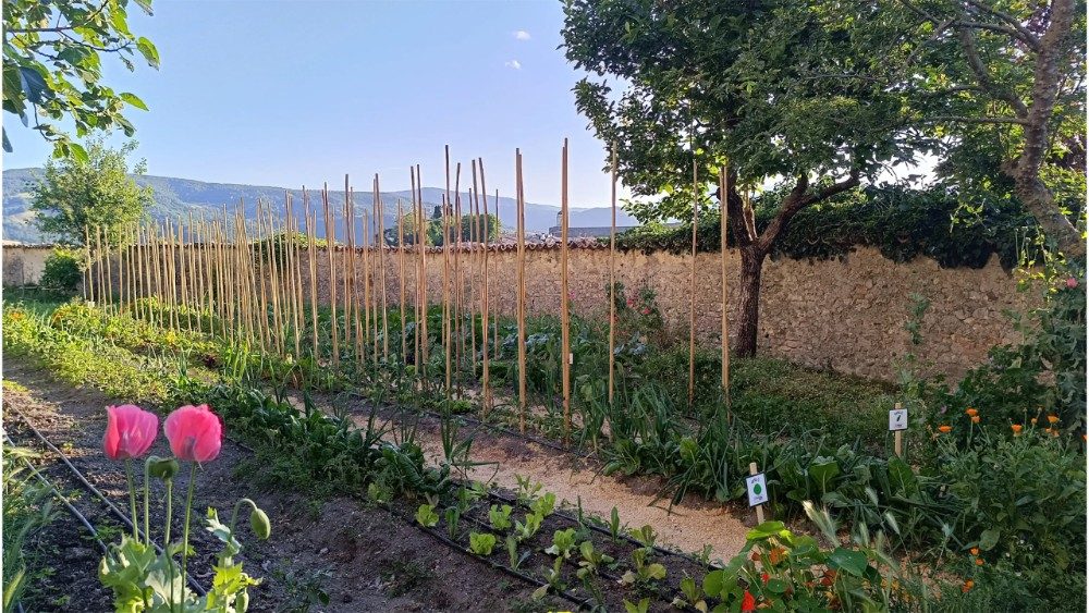 2026.08.21 Orto amoris del monastero agostiniano di Pennabilli