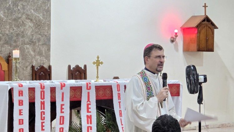 Dom Paulo Andreolli, bispo auxiliar