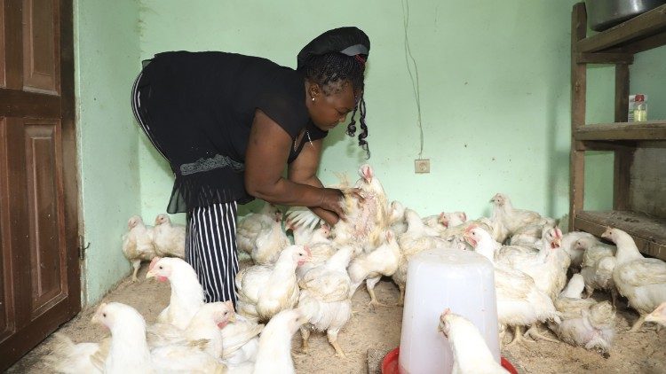 Irine Massa looks after her third batch of 50 chickens in her small poultry farm in Akum village in Bamenda Northwest region of Cameroon. The mother of four was trained by Catholic Relief Services on poultry farming techniques and she received 43 chicks and poultry equipment like feeders, drinkers and a coop to help her start her business. Photo by Mabel Chenjoh/CRS