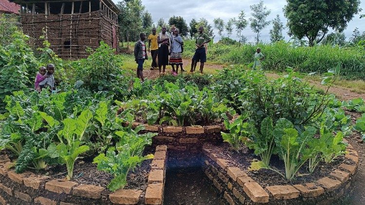 Focsiv News, Un orto comunitario nel distretto di Gicumbi, in Rwanda