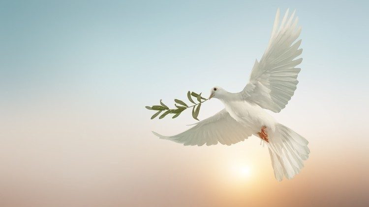 Una paloma que es el s&iacute;mbolo de la paz
