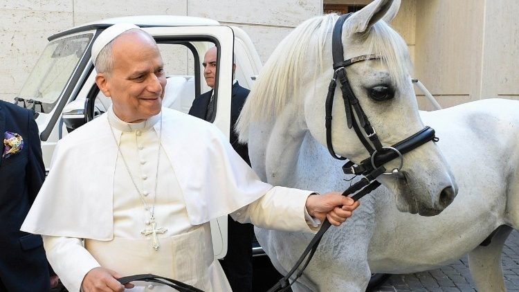 El Papa León XIV y un caballo donado por un criador polaco (@Vatican Media).