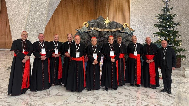 Unser Gespr&auml;chspartner Kardinal Nemet (3. v.l.) gemeinsam mit den anderen Kardin&auml;len der Sprachgruppe 9 (italienisch)