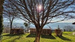 Napsütés a téli ágak között (Fotó: Ft. Fülöp Zsombor)