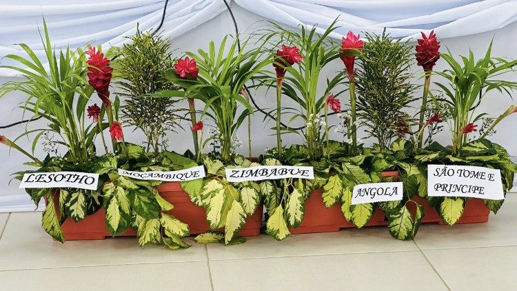 Assembleia da Confer&ecirc;ncia Regional dos Superiores Maiores analisa vida consagrada na &Aacute;frica Austral