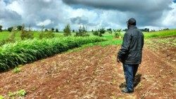 Un agricoltore kenyano coinvolto nel progetto Maziwa
