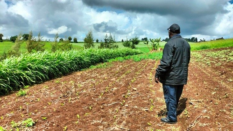 Un agricoltore kenyano coinvolto nel progetto Maziwa