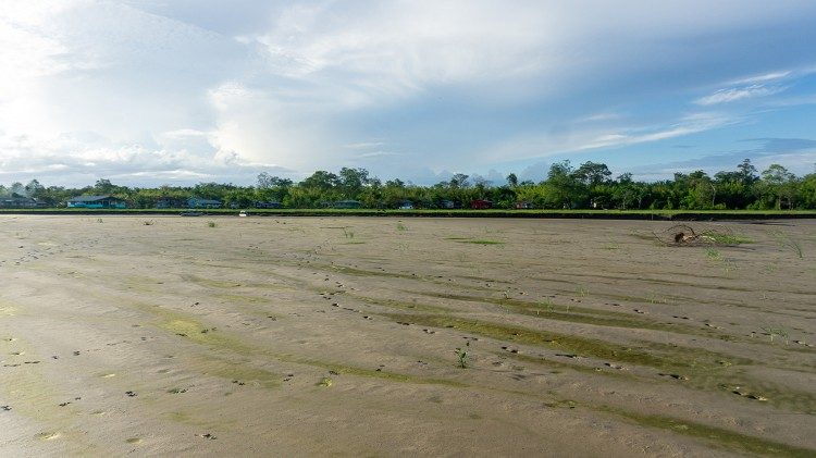 Afluente do Rio Amazonas secou em frente &agrave; comunidade do Livramento no norte do Arquip&eacute;lago do Bailique_ Foto-Rodrigo Pedroso 