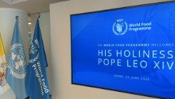 Se le mostrará al Papa el premio Nóbel que recibió el organismo en el 2020