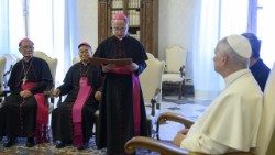 2026.06.22 Vescovi di Taiwan ad limina