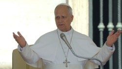 Leon XIV podczas jednej z audiencji ogólnych