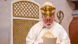La messa presieduta da monsignor Gallagher nella cattedrale di Kaunas