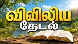 விவிலியத் தேடல் 