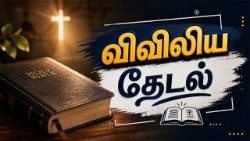 விவிலியத் தேடல் 