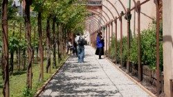 O jardim místico dos carmelitas descalços em Veneza.