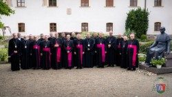 Adunarea plenară a Conferinței Episcopilor din România la Alba Iulia (Credits: Foto Marco)