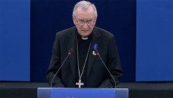 Parolin_Strasburgo.jpg