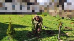 Sadzenie drzew i innych roślin na Ukrainie jest symbolem nadziei