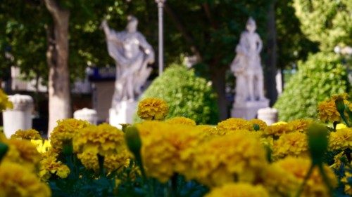 Fiori e cartelloni, Madrid si veste di bianco e giallo per accogliere Leone