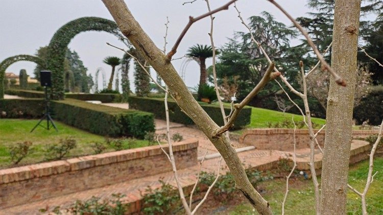 El &aacute;rbol, definido como un &laquo;f&oacute;sil viviente&raquo; ya que proviene de una especie que vivi&oacute; hace m&aacute;s de 200 millones de a&ntilde;os, sobrevivi&oacute; a la explosi&oacute;n de Hiroshima.