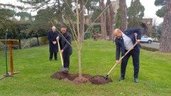 El arzobispo Emilio Nappa, secretario general de la Gobernación del Estado de la Ciudad del Vaticano, y Mauro Uniformi, presidente de la Conaf, plantan un ginkgo biloba en los Jardines Vaticanos.