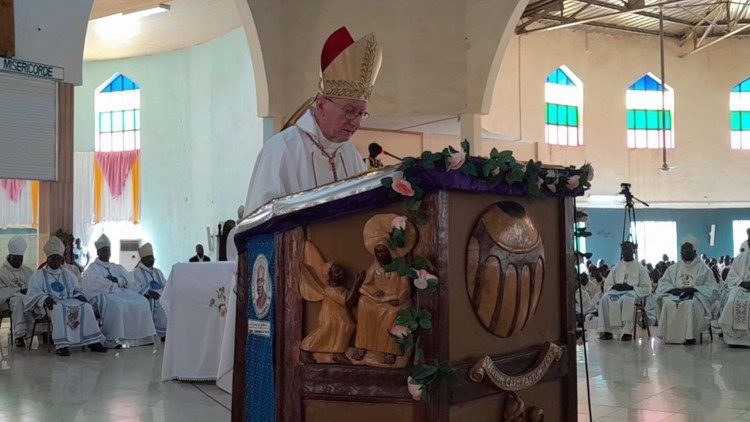 Un momento de la celebración presidida por el cardenal Parolin en el santuario mariano de Yagma en Burkina Faso.