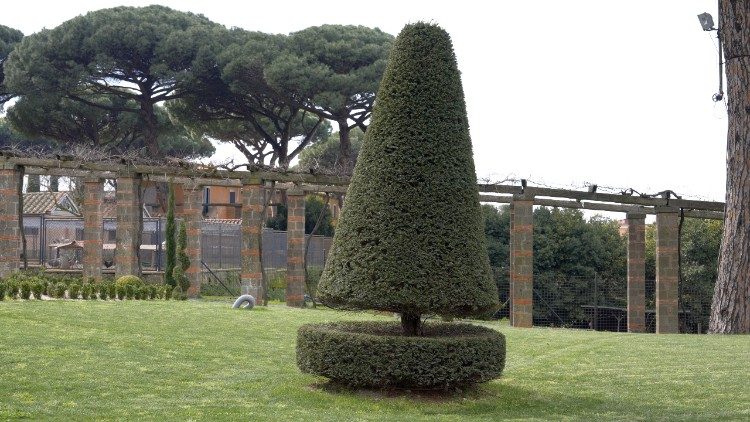 लौदातो सी वैश्विक मैत्री गठबंधन