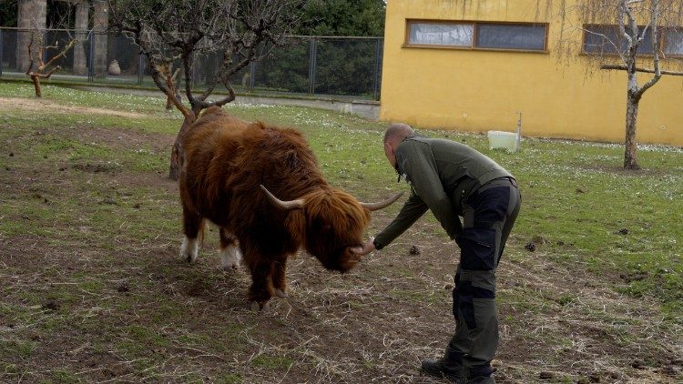 La fattoria del Borgo Laudato si'