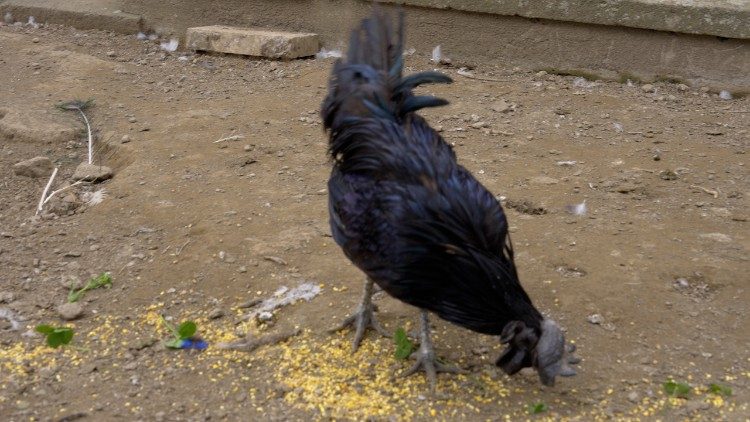 Il Borgo Laudato si'