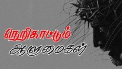 நெறி காட்டும் ஆளுமைகள் 