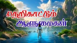 நெறி காட்டும் ஆளுமைகள் 