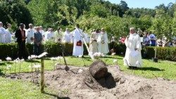 Gingoko Biloba Silva, símbolo escolhido pelos primeiros missionários espiritanos em Portugal - Lusofonias (Portugal)